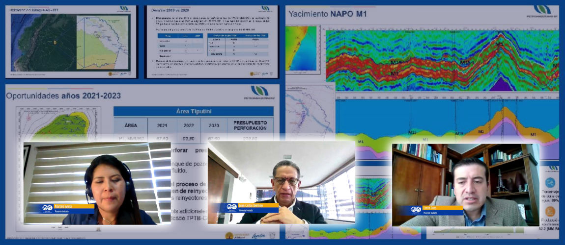 Descarga el Video del Webinar Desafíos y Oportunidades para el Desarrollo del Bloque 43 - ITT