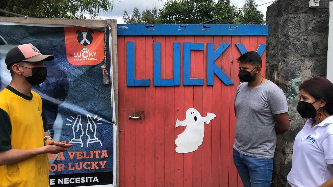 Donación a la Fundación Lucky