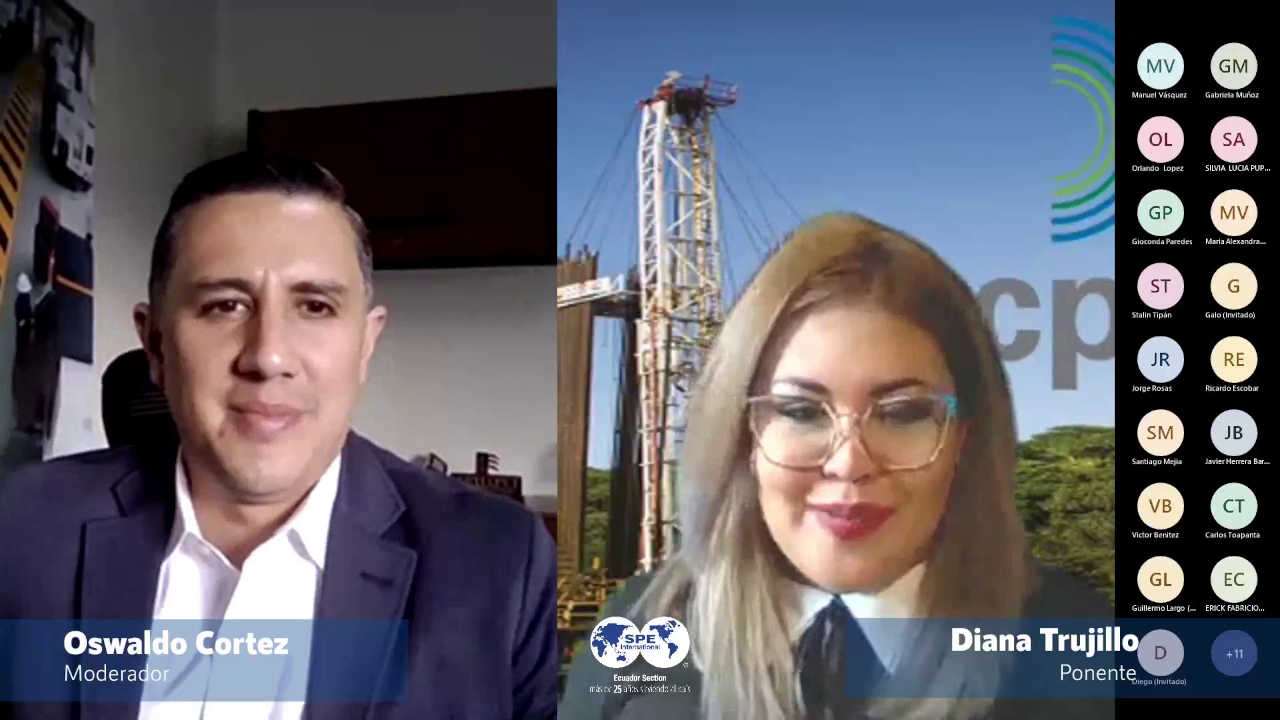 Video Webinar Gestión de Riesgos en los Proyectos